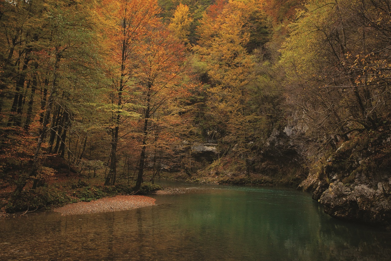 Riverside