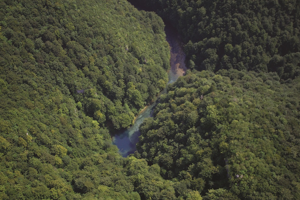 The upper course of the River Kupa