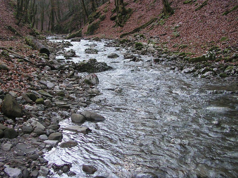 Krašićevica Canyon
