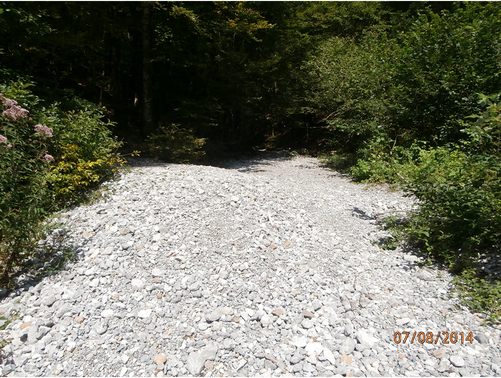 Sušica