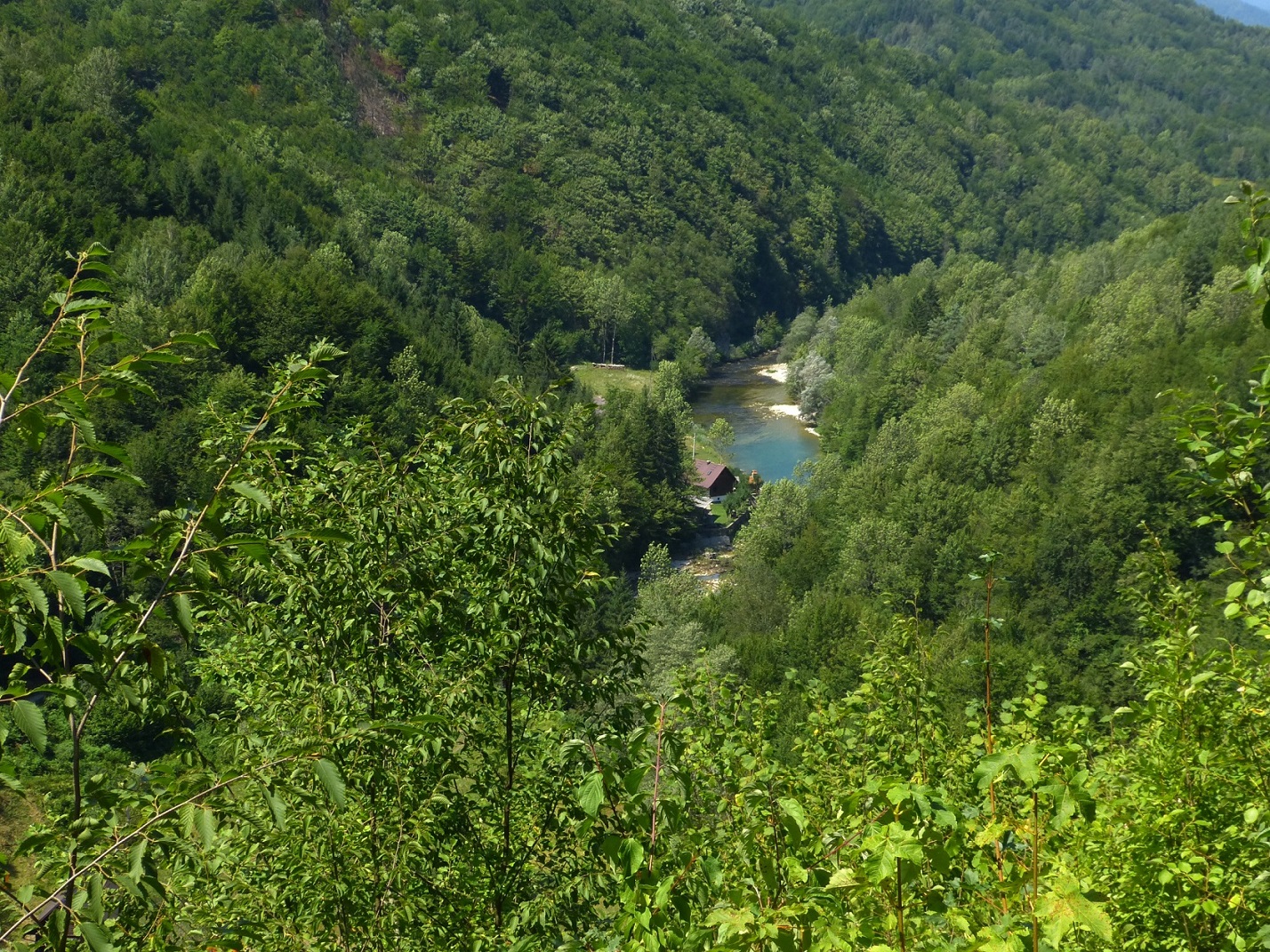 Kupa Valley 