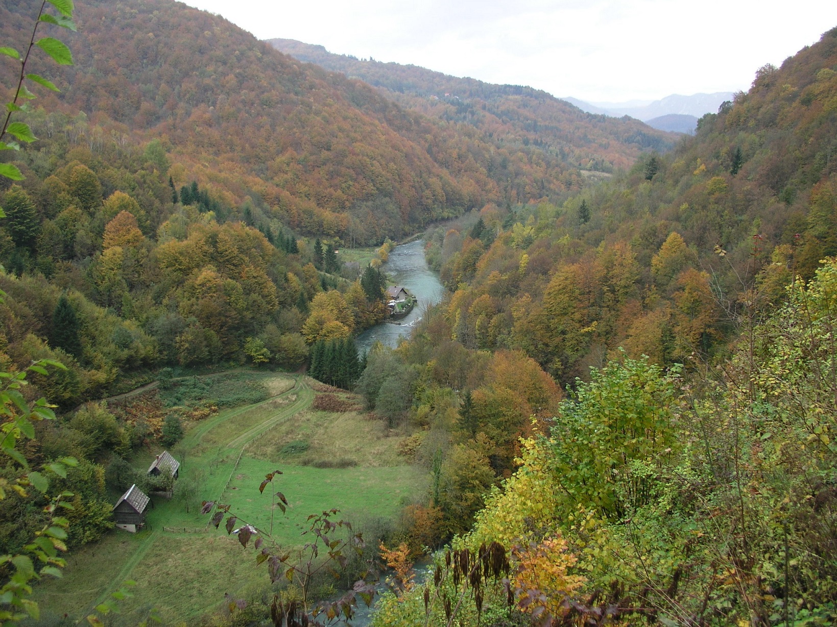 The upper course of the River Kupa