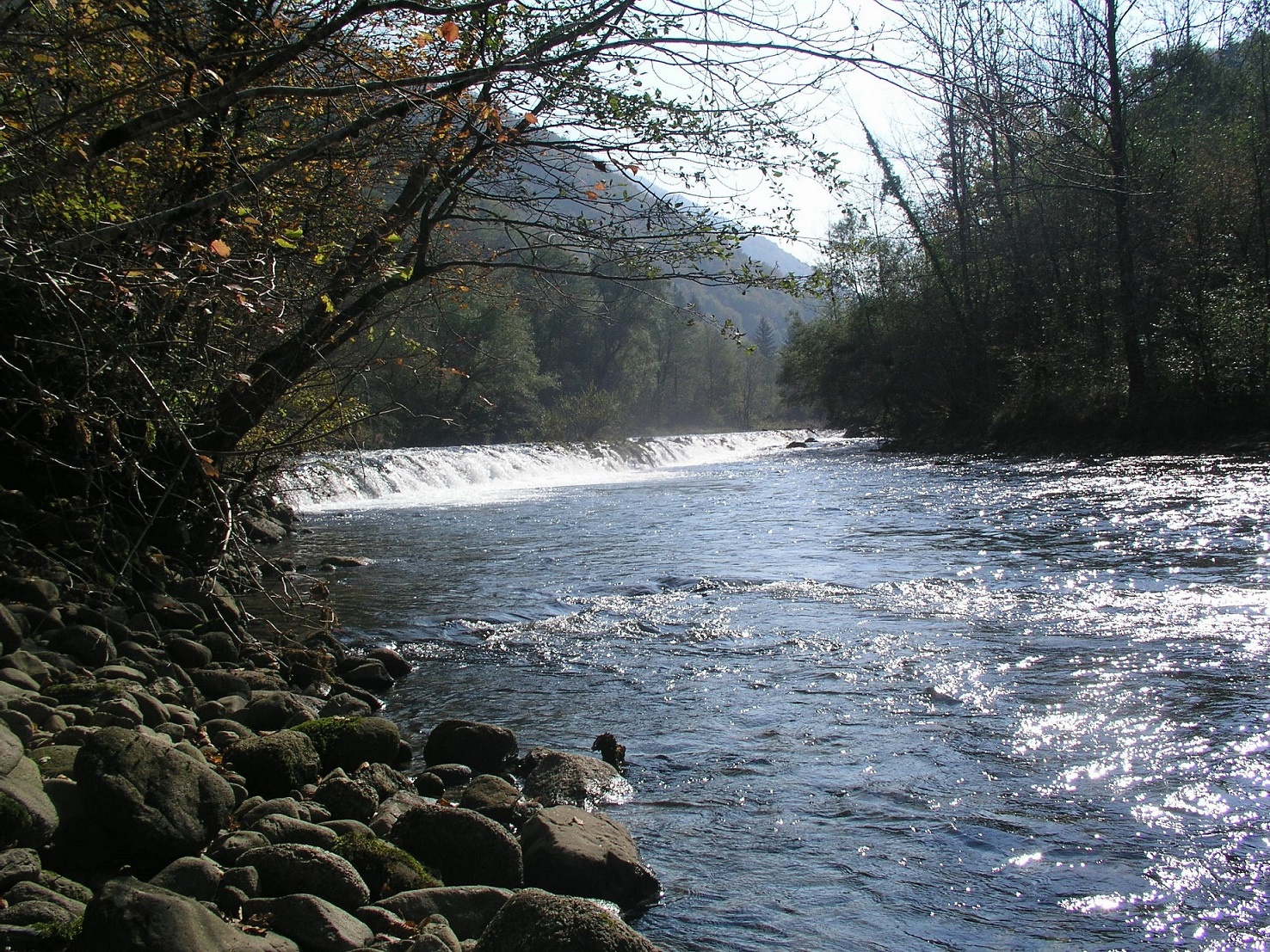 The upper course of the River Kupa