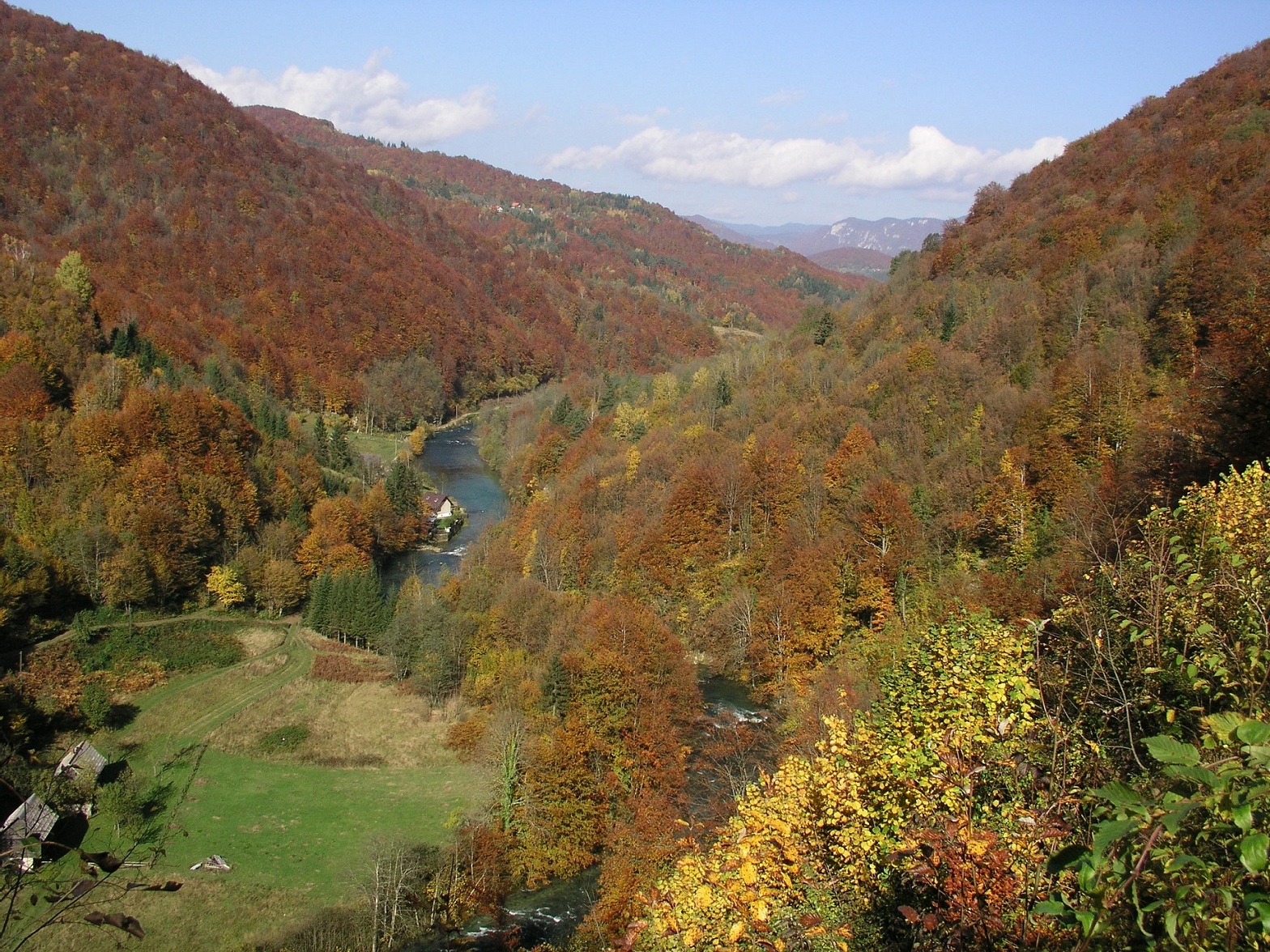 The upper course of the River Kupa