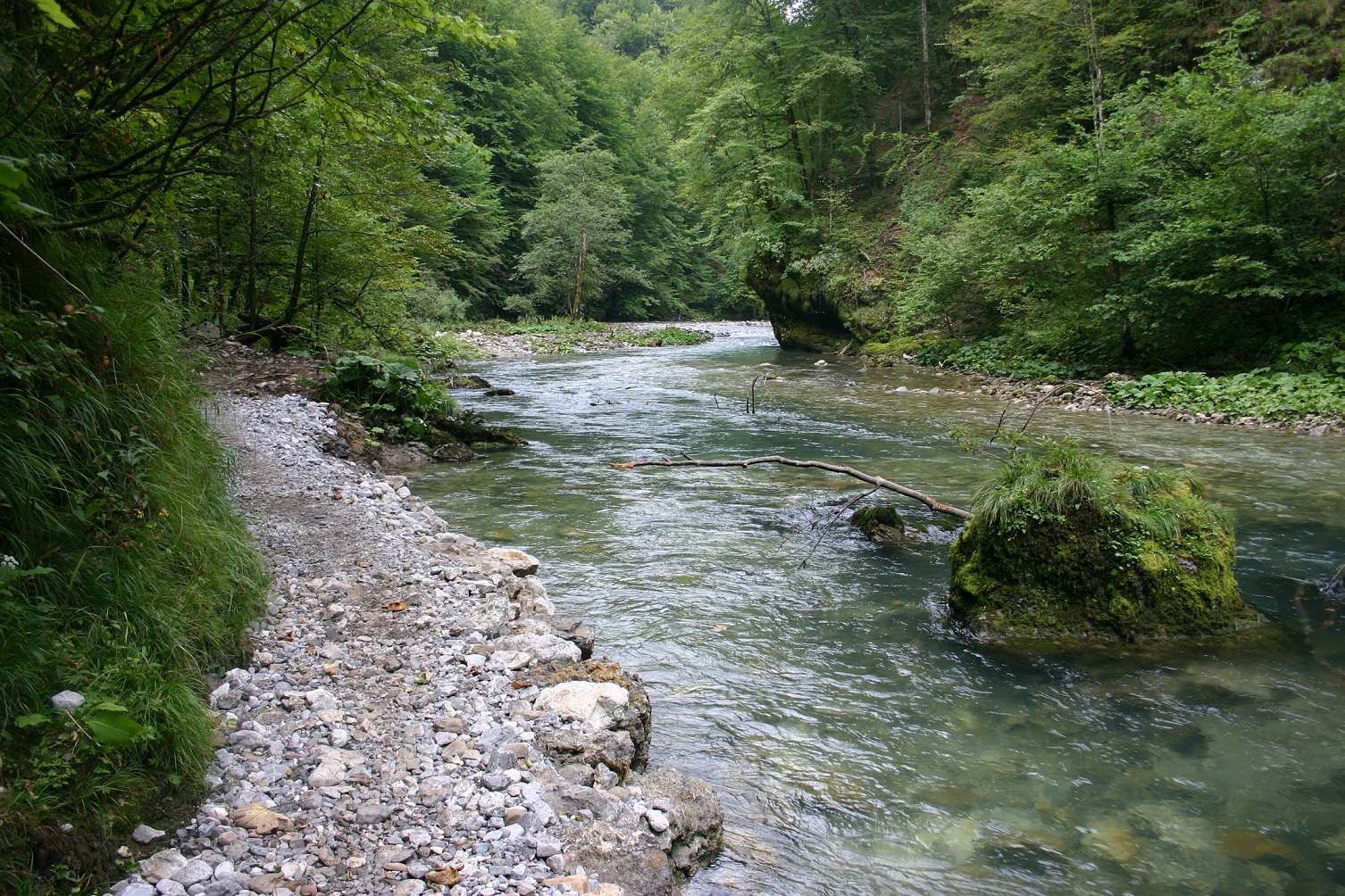 Pot ob reki Kolpi