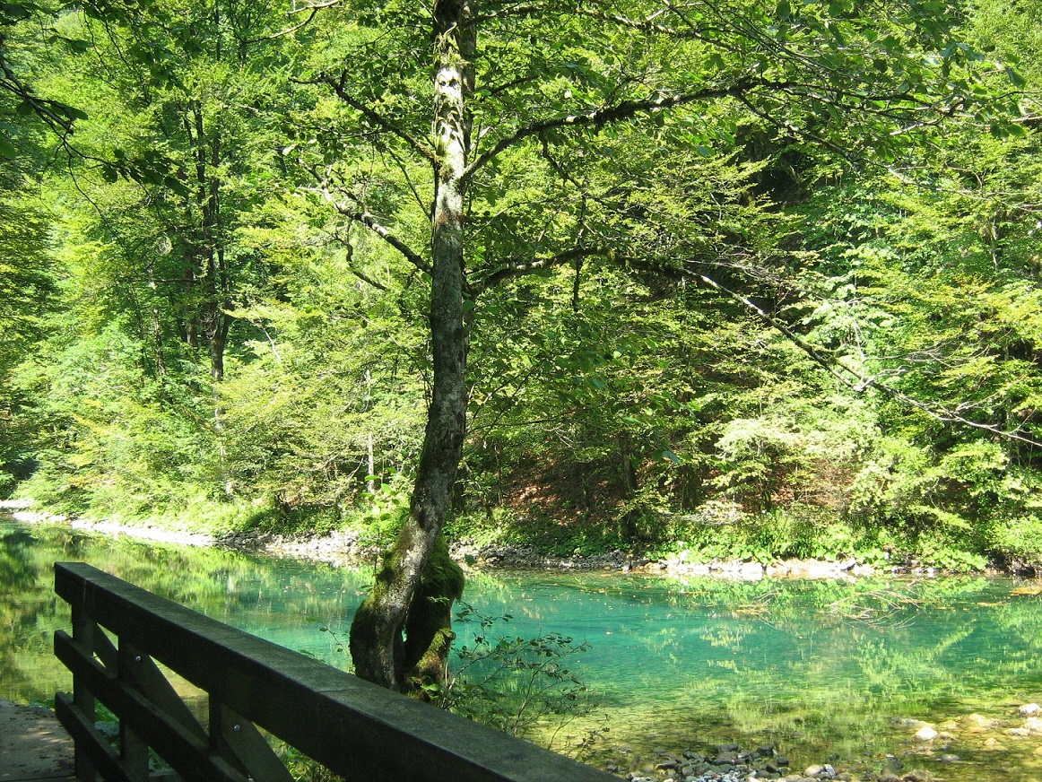 Pot ob reki Kolpi