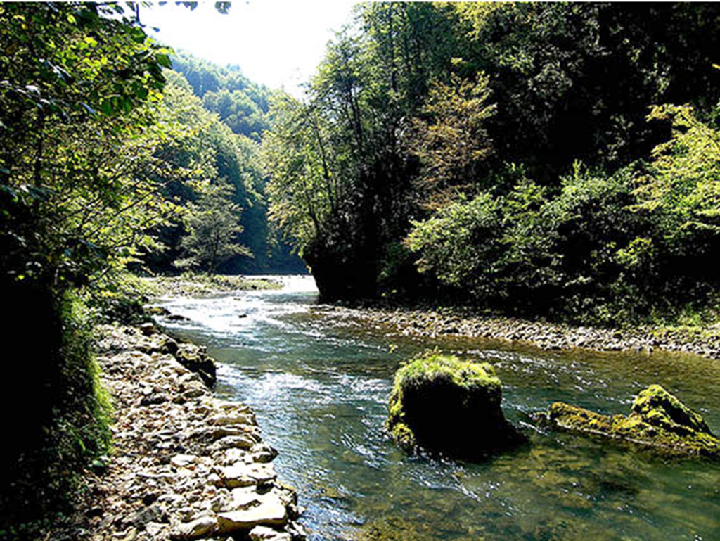 Kupa Valley 