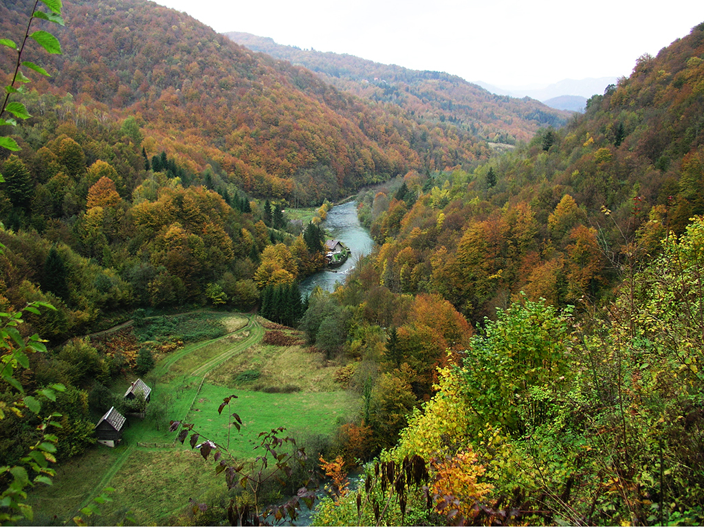 The upper course of the River Kupa