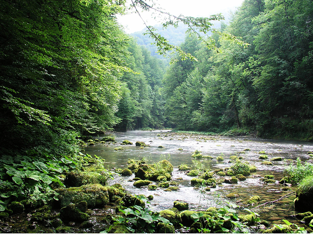 The upper course of the River Kupa
