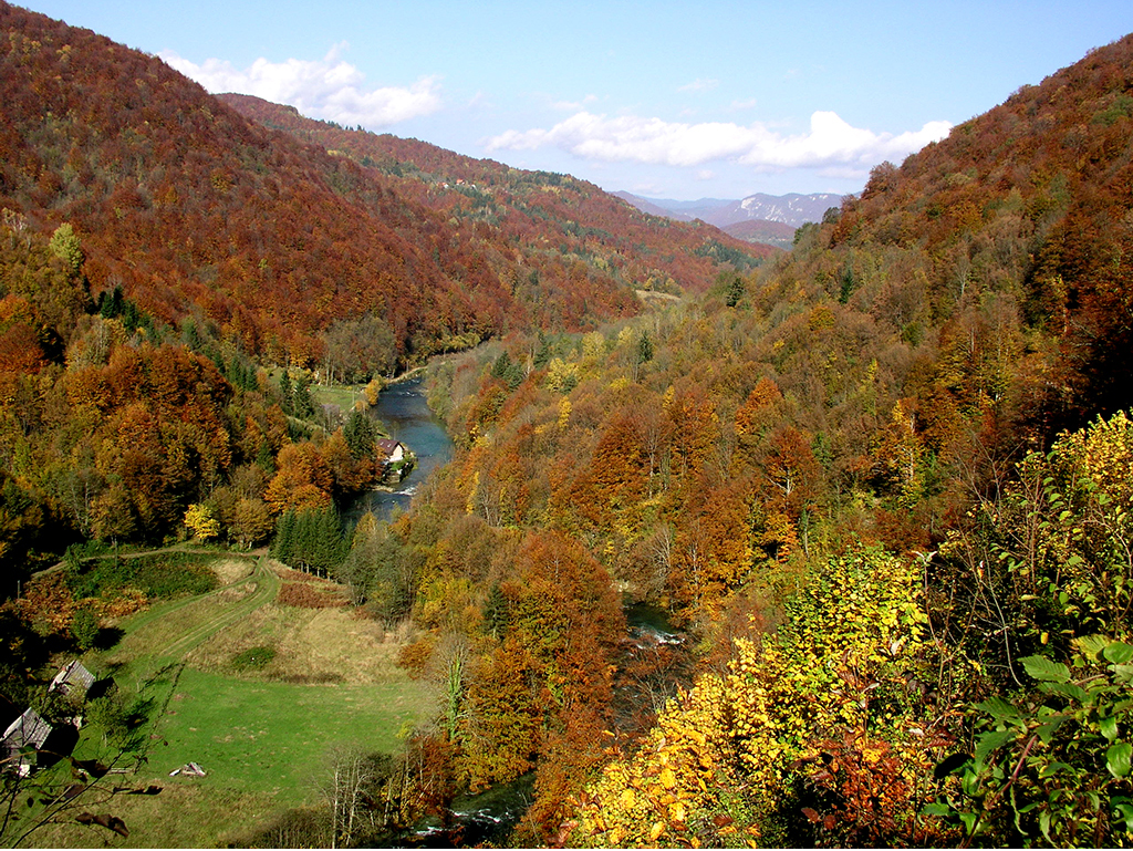 The upper course of the River Kupa