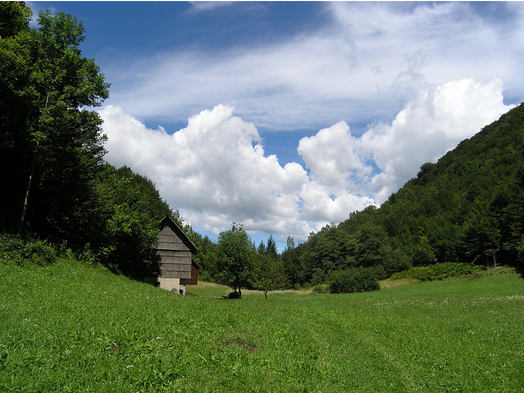Kupari