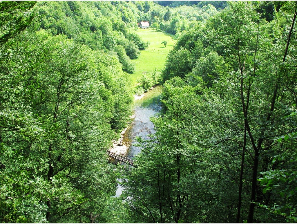 Gornji Kupari