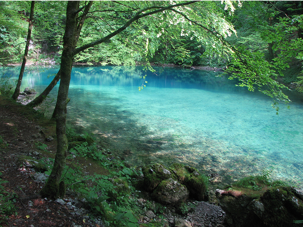The source of the river Kupa