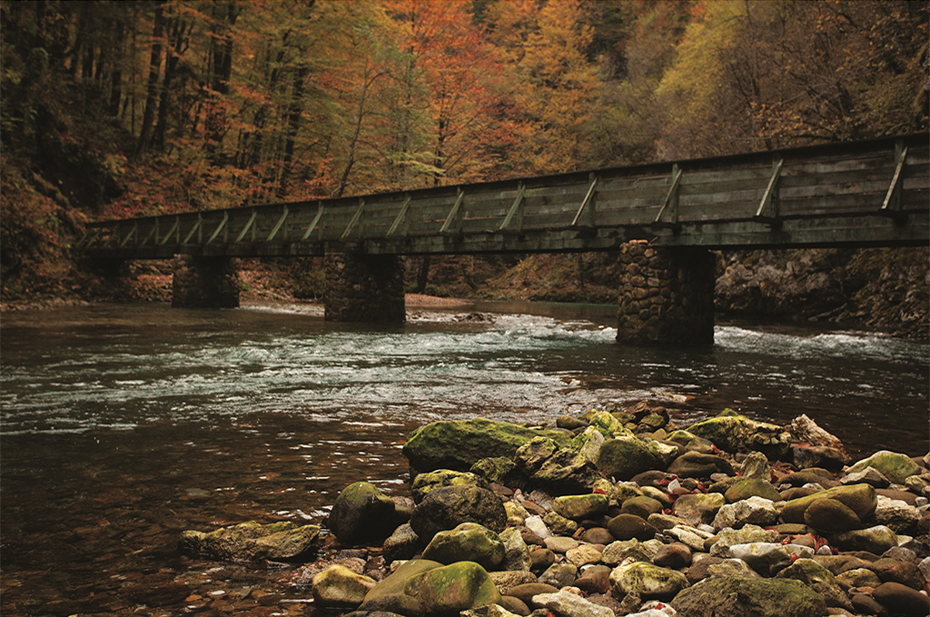 Bridge