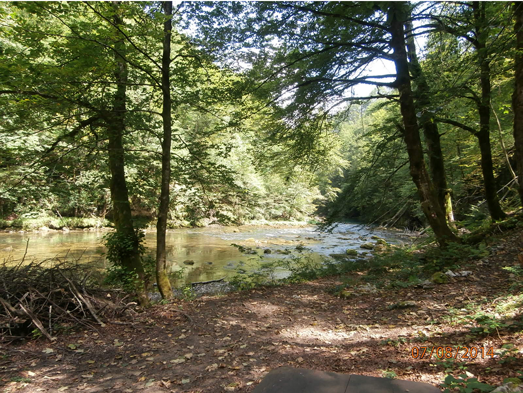Trail along the river Kupa
