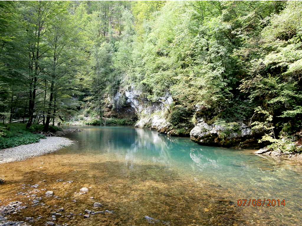 Trail along the river Kupa