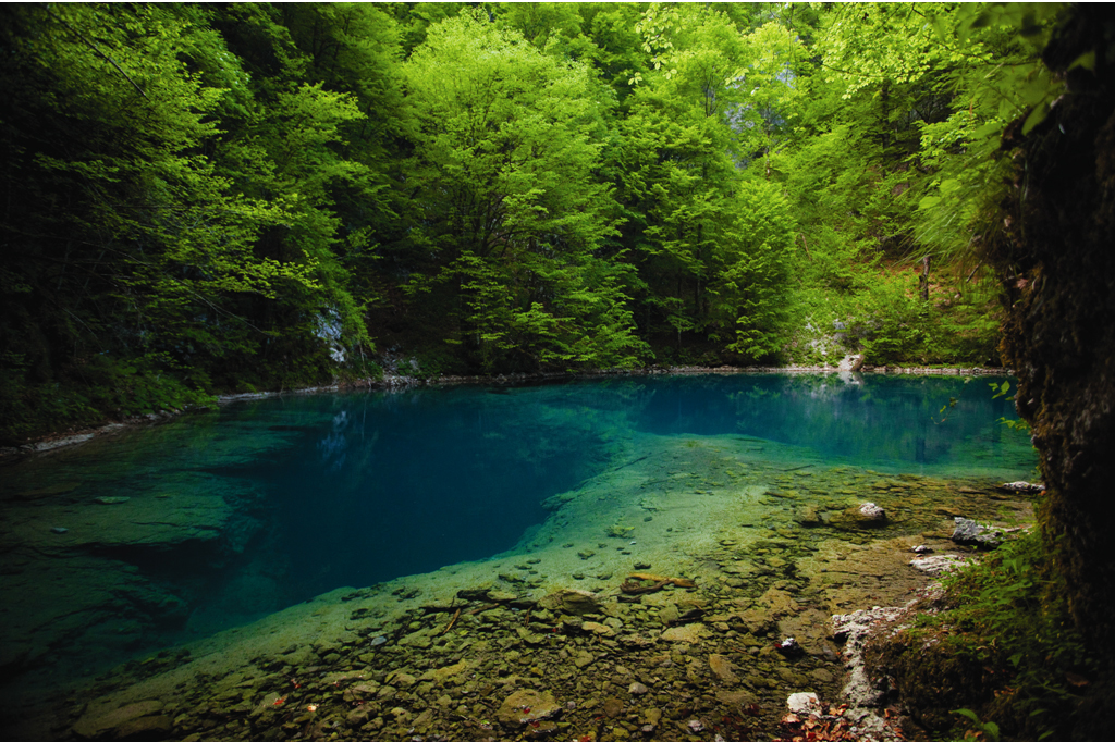 The Source of the River Kupa